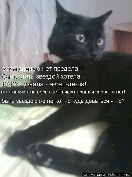 возмущенью нет предела!!! было стать звездой хотела... КАК? - узнала - а-бал-де-ла! выставляют на вес... Котоматрица: возмущенью нет предела!!! было стать звездой хотела... КАК? - узнала - а-бал-де-ла! выставляют на весь свет! пишут-правды слова ж нет! быть звезд