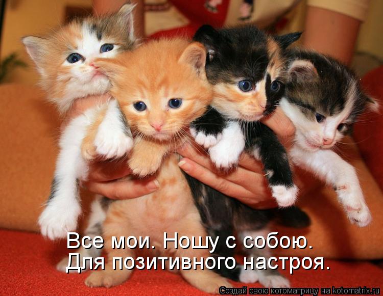 Все мои. Ношу с собою. Для позитивного настроя.... Котоматрица: Все мои. Ношу с собою. Для позитивного настроя.