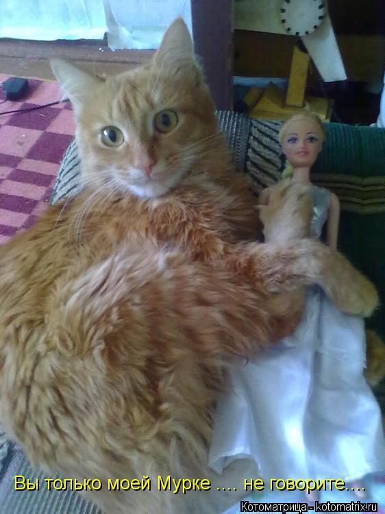Вы только моей Мурке .... не говорите....... Котоматрица: Вы только моей Мурке .... не говорите....
