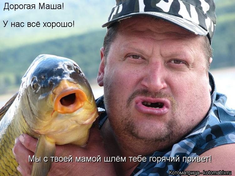 Дорогая Маша! У нас всё хорошо! Мы с твоей мамой шлём тебе горячий привет!... Котоматрица: Дорогая Маша! У нас всё хорошо! Мы с твоей мамой шлём тебе горячий привет!