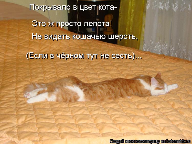 Покрывало в цвет кота- Не видать кошачью шерсть, (Если в чёрном тут не сесть)... Это ж просто лепота!... Котоматрица: Покрывало в цвет кота- Не видать кошачью шерсть, (Если в чёрном тут не сесть)... Это ж просто лепота!