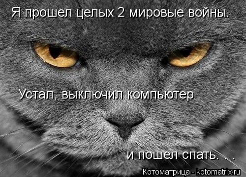 Котоматрица: Я прошел целых 2 мировые войны. Устал, выключил компьютер  и пошел спать. . .