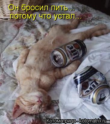 Он бросил пить... потому что устал... потому что устал...... Котоматрица: Он бросил пить... потому что устал... потому что устал...