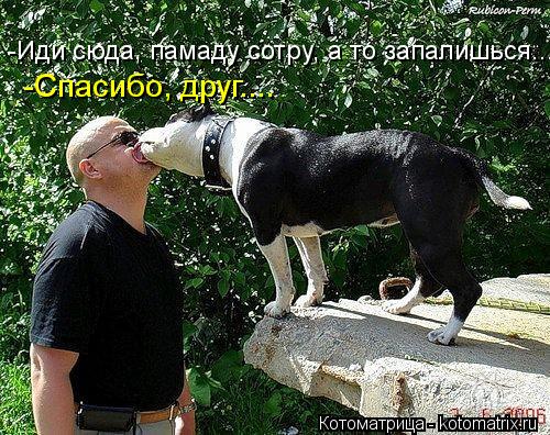 -Иди сюда, памаду сотру, а то запалишься... -Спасибо, друг....... Котоматрица: -Иди сюда, памаду сотру, а то запалишься... -Спасибо, друг....