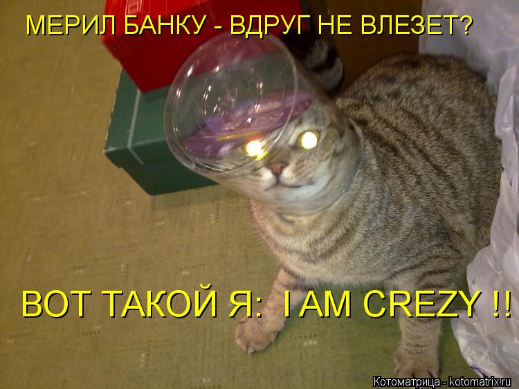 МЕРИЛ БАНКУ - ВДРУГ НЕ ВЛЕЗЕТ? ВОТ ТАКОЙ Я: I AM CREZY !!... Котоматрица: МЕРИЛ БАНКУ - ВДРУГ НЕ ВЛЕЗЕТ? ВОТ ТАКОЙ Я: I AM CREZY !!