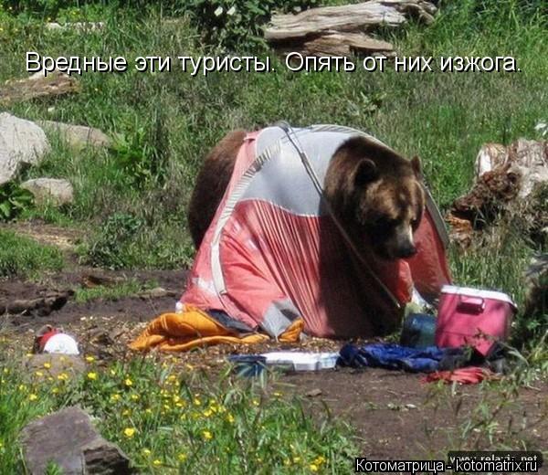 Вредные эти туристы. Опять от них изжога.... Котоматрица: Вредные эти туристы. Опять от них изжога.