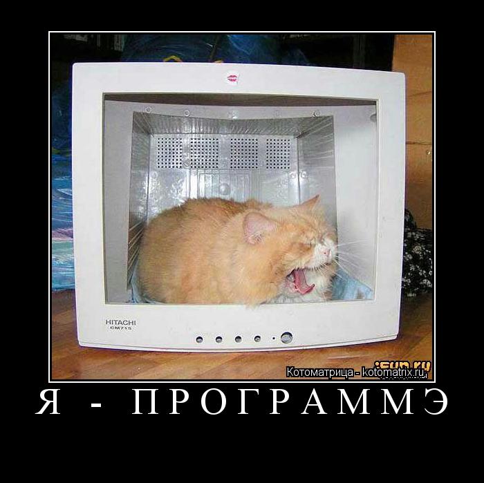 Я - Программэ ... Котоматрица: Я - Программэ