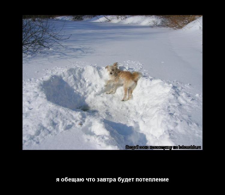 я обещаю что завтра будет потепление я обещаю что завтра будет потепление... Котоматрица: я обещаю что завтра будет потепление я обещаю что завтра будет потепление