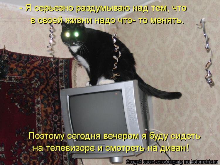 в своей жизни надо что- то менять. на телевизоре и смотреть на диван! Поэтому сегодня вечером я буду ... Котоматрица: в своей жизни надо что- то менять. на телевизоре и смотреть на диван! Поэтому сегодня вечером я буду сидеть - Я серьезно раздумываю над тем, ч