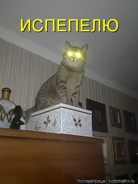 ИСПЕПЕЛЮ... Котоматрица: ИСПЕПЕЛЮ