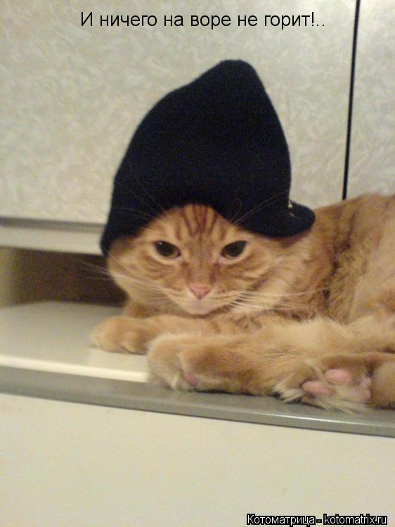 И ничего на воре не горит!..... Котоматрица: И ничего на воре не горит!..