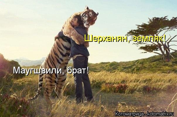Шерханян, земляк! Маугшвили, брат!... Котоматрица: Шерханян, земляк! Маугшвили, брат!