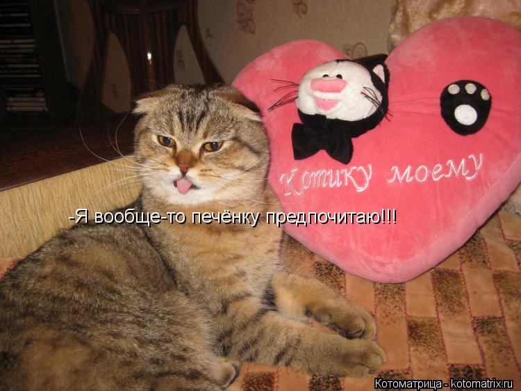 -Я вообще-то печёнку предпочитаю!!!... Котоматрица: -Я вообще-то печёнку предпочитаю!!!