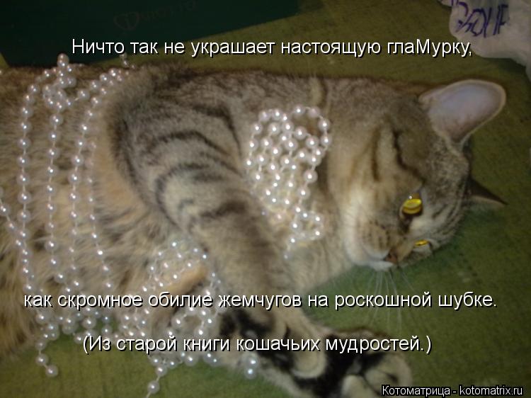 как скромное обилие жемчугов на роскошной шубке. (Из старой книги кошачьих мудростей.) Ничто так не у... Котоматрица: как скромное обилие жемчугов на роскошной шубке. (Из старой книги кошачьих мудростей.) Ничто так не украшает настоящую глаМурку,