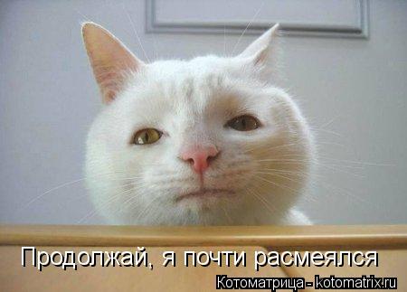 Продолжай, я почти расмеялся... Котоматрица: Продолжай, я почти расмеялся