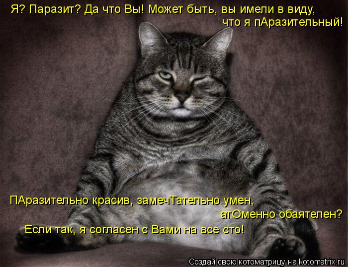 Я? Паразит? Да что Вы! Может быть, вы имели в виду, что я пАразительный! ПАразительно красив, замеч... Котоматрица: Я? Паразит? Да что Вы! Может быть, вы имели в виду, что я пАразительный! ПАразительно красив, замечТательно умен, атОменно обаятелен? Если та