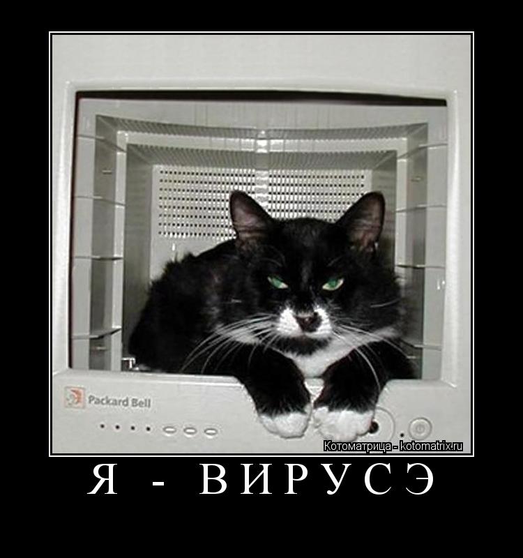 Я - вирусэ ... Котоматрица: Я - вирусэ