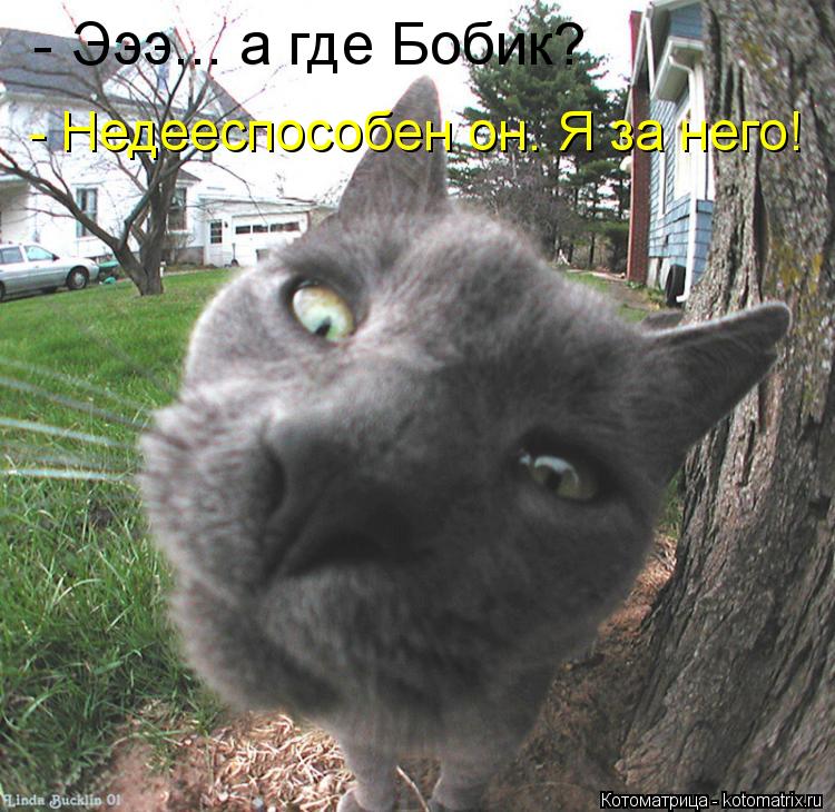 - Эээ... а где Бобик? - Недееспособен он. Я за него!... Котоматрица: - Эээ... а где Бобик? - Недееспособен он. Я за него!