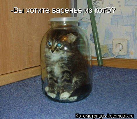 -Вы хотите варенье из котЭ?... Котоматрица: -Вы хотите варенье из котЭ?