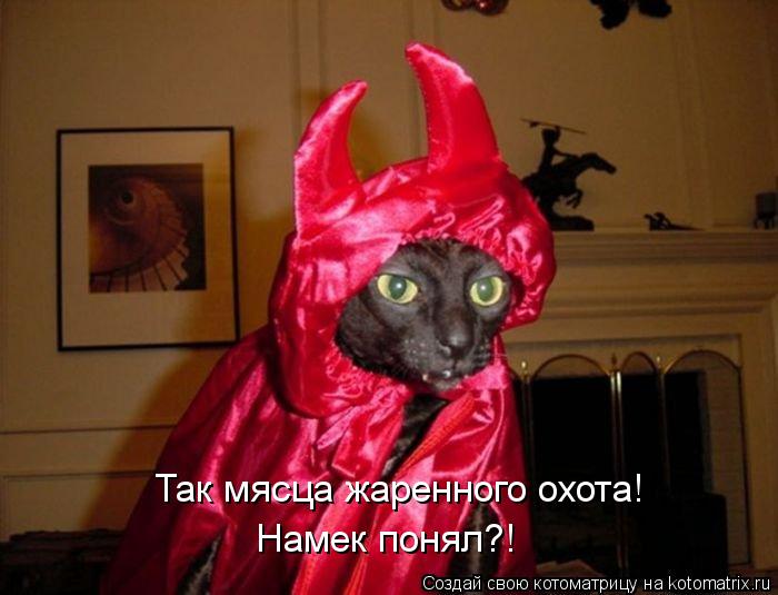 Так мясца жаренного охота! Намек понял?!... Котоматрица: Так мясца жаренного охота! Намек понял?!