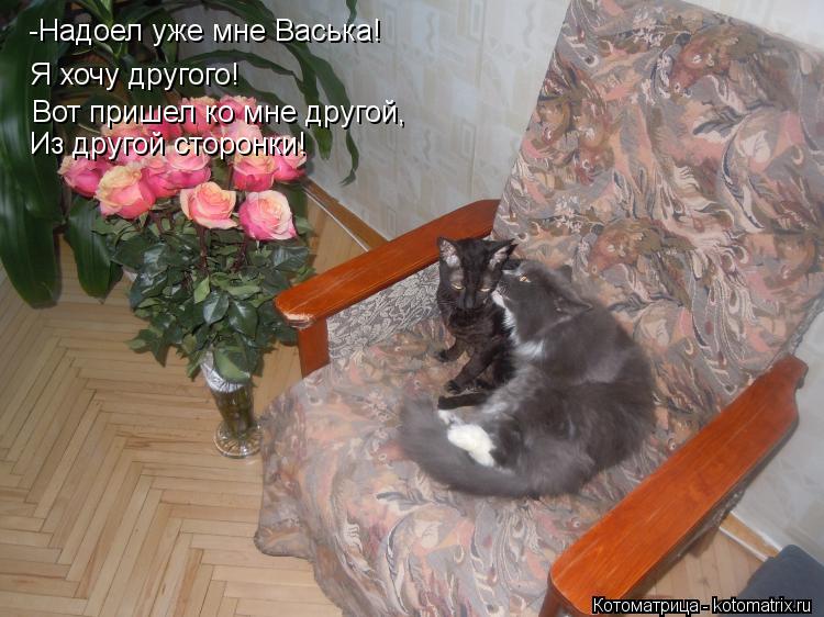 -Надоел уже мне Васька! Я хочу другого! Вот пришел ко мне другой, Из другой сторонки!... Котоматрица: -Надоел уже мне Васька! Я хочу другого! Вот пришел ко мне другой, Из другой сторонки!