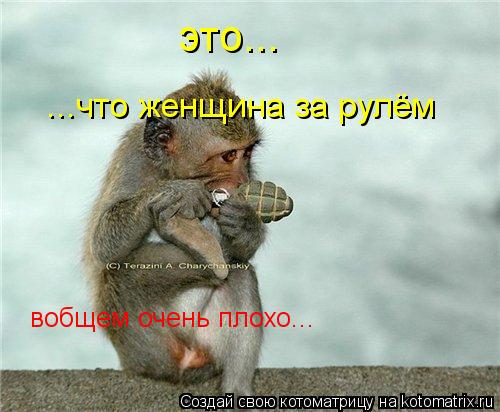 это... ...что женщина за рулём вобщем очень плохо...... Котоматрица: это... ...что женщина за рулём вобщем очень плохо...