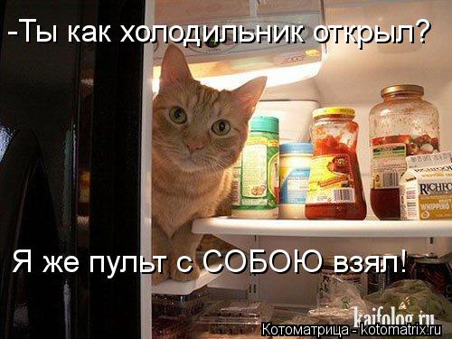 -Ты как холодильник открыл? Я же пульт с СОБОЮ взял!... Котоматрица: -Ты как холодильник открыл? Я же пульт с СОБОЮ взял!