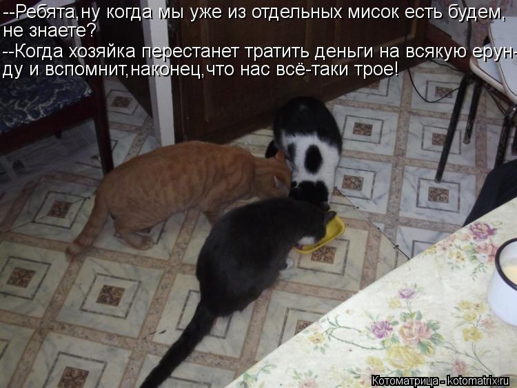 Котоматрица: --Ребята,ну когда мы уже из отдельных мисок есть будем, не знаете? --Когда хозяйка перестанет тратить деньги на всякую ерун- ду и вспомнит,нак
