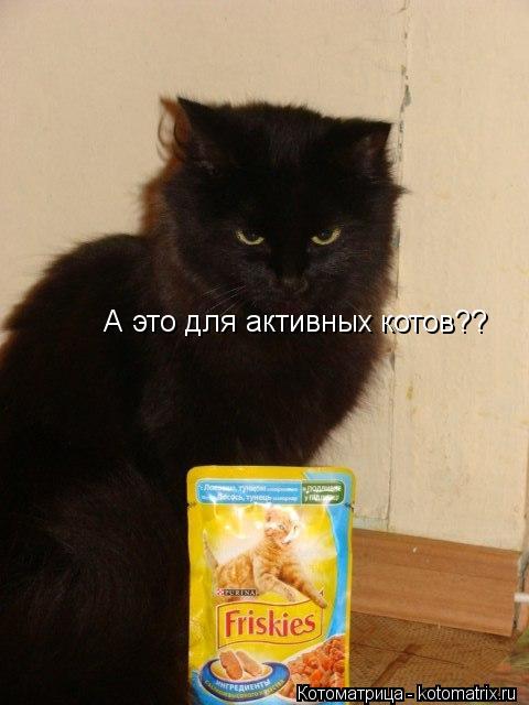 А это для активных котов??... Котоматрица: А это для активных котов??