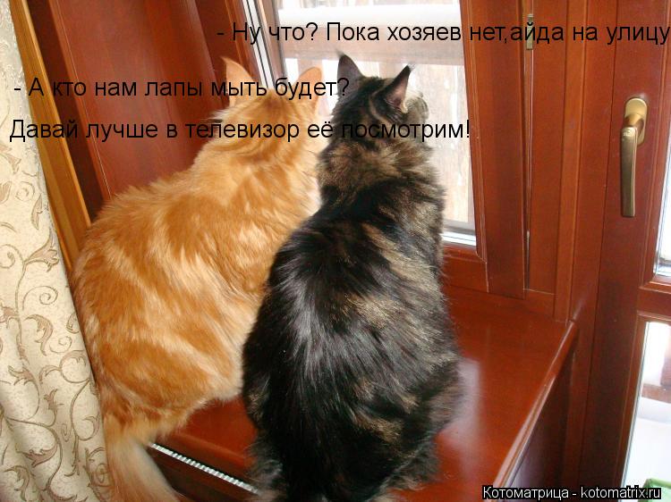 - Ну что? Пока хозяев нет,айда на улицу? - А кто нам лапы мыть будет? Давай лучше в телевизор её пос... Котоматрица: - Ну что? Пока хозяев нет,айда на улицу? - А кто нам лапы мыть будет? Давай лучше в телевизор её посмотрим!
