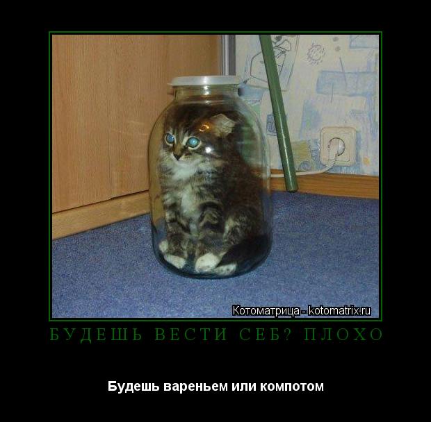 Будешь вести себя плохо Будешь вареньем или компотом... Котоматрица: Будешь вести себя плохо Будешь вареньем или компотом