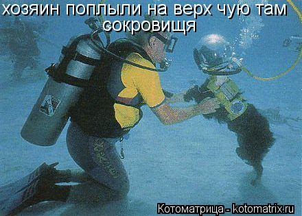 хозяин поплыли на верх чую там сокровищя... Котоматрица: хозяин поплыли на верх чую там сокровищя
