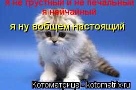 Котоматрица: я нейчайный я не грустный и не печальный я ну вобщем настоящий