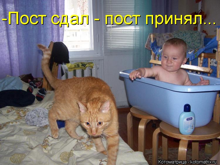 -Пост сдал - пост принял...... Котоматрица: -Пост сдал - пост принял...