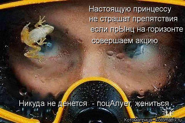 Котоматрица: Настоящую принцессу не страшат препятствия если прЫнц на горизонте совершаем акцию Никуда не денется  - поцАлует, жениться
