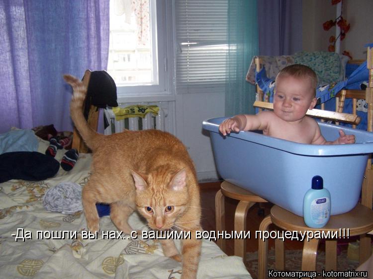 -Да пошли вы нах..с вашими водными процедурами!!!... Котоматрица: -Да пошли вы нах..с вашими водными процедурами!!!