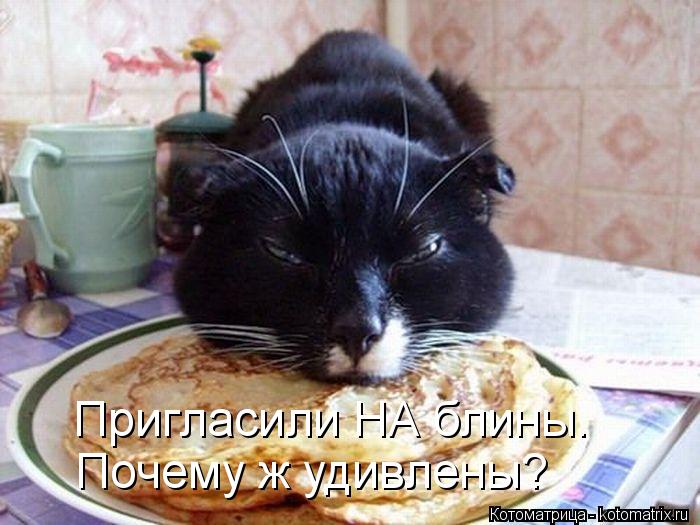 Пригласили НА блины. Почему ж удивлены?... Котоматрица: Пригласили НА блины. Почему ж удивлены?