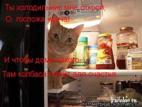 Котоматрица: Ты холодильник мне открой,  О, госпожа удача!  И чтобы дома никого... Там колбаса лежит для счастья.