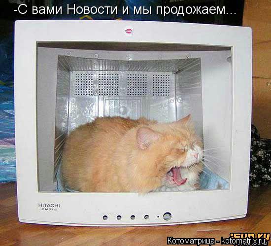 -С вами Новости и мы продожаем...... Котоматрица: -С вами Новости и мы продожаем...