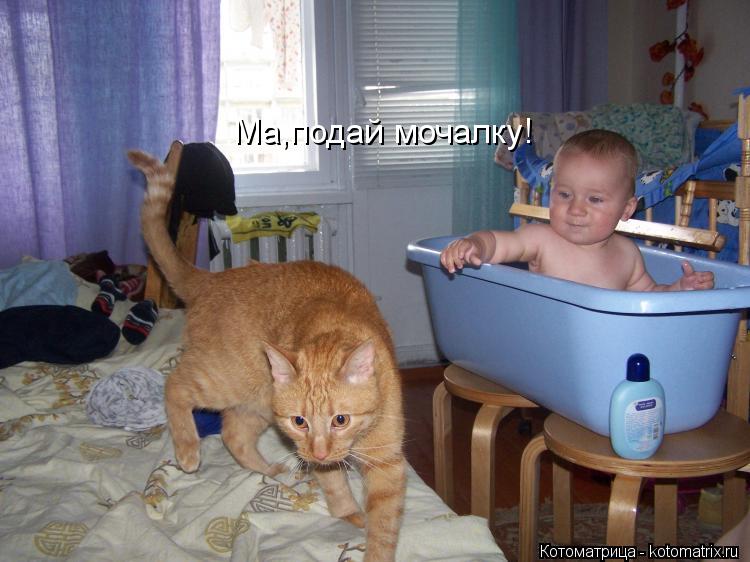 Ма,подай мочалку!... Котоматрица: Ма,подай мочалку!