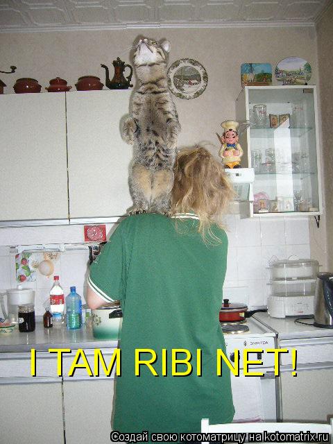 I TAM RIBI NET!... Котоматрица: I TAM RIBI NET!