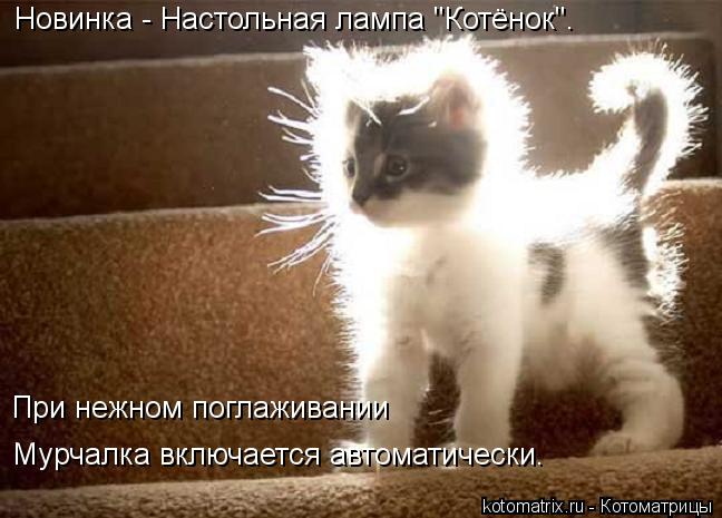 Мурчалка включается автоматически. При нежном поглаживании Новинка - Настольная лампа "Котёнок".... Котоматрица: Мурчалка включается автоматически. При нежном поглаживании Новинка - Настольная лампа "Котёнок".