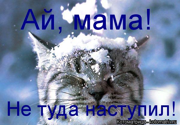 Котоматрица: Ай, мама! Не туда наступил!