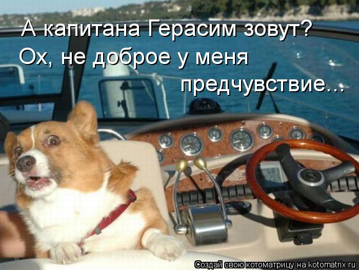 А капитана Герасим зовут? Ох, не доброе у меня предчувствие...... Котоматрица: А капитана Герасим зовут? Ох, не доброе у меня предчувствие...