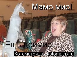 Мамо мио! Ешь доймио!... Котоматрица: Мамо мио! Ешь доймио!