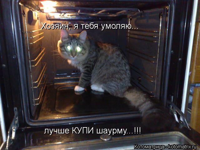 Хозяин, я тебя умоляю... лучше КУПИ шаурму...!!!... Котоматрица: Хозяин, я тебя умоляю... лучше КУПИ шаурму...!!!