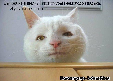 Котоматрица: Вы Кея не видели? Такой хмурый немолодой дядька. И улыбается вот так