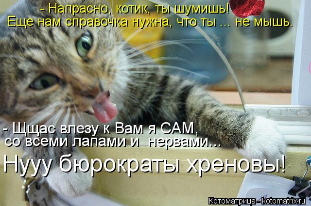 - Напрасно, котик, ты шумишь! Еще нам справочка нужна, что ты ... не мышь. Нууу бюрократы хреновы! - ... Котоматрица: - Напрасно, котик, ты шумишь! Еще нам справочка нужна, что ты ... не мышь. Нууу бюрократы хреновы! - Щщас влезу к Вам я САМ, со всеми лапами и нер