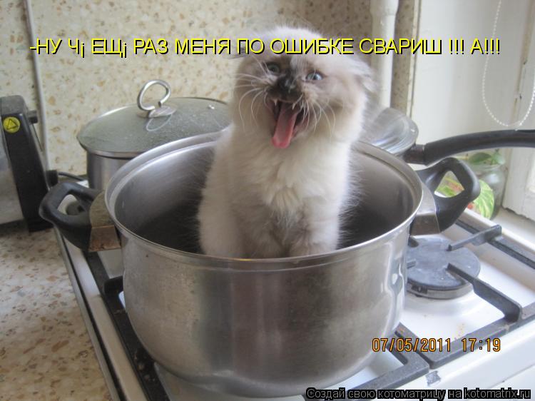 -НУ ЧЁ ЕЩЁ РАЗ МЕНЯ ПО ОШИБКЕ СВАРИШ !!! А!!!... Котоматрица: -НУ ЧЁ ЕЩЁ РАЗ МЕНЯ ПО ОШИБКЕ СВАРИШ !!! А!!!