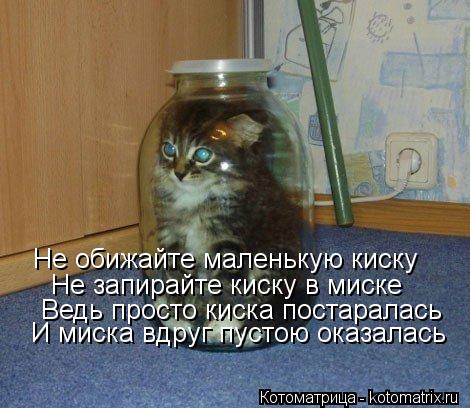 Не обижайте маленькую киску Не запирайте киску в миске Ведь просто киска постаралась И миска вдруг пу... Котоматрица: Не обижайте маленькую киску Не запирайте киску в миске Ведь просто киска постаралась И миска вдруг пустою оказалась